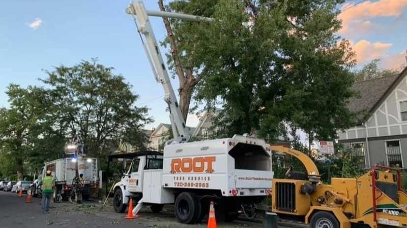 Emergency Tree Service