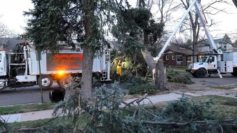 Emergency Tree Service