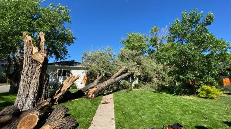 Property Assessments