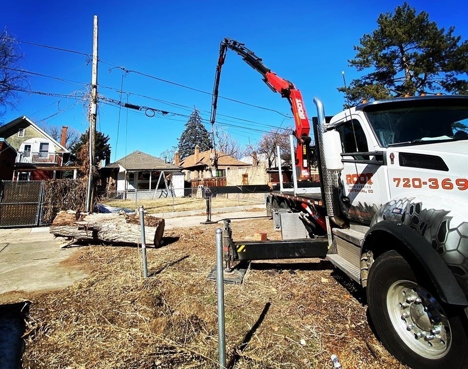 Plant and Tree Services in Parker Colorado