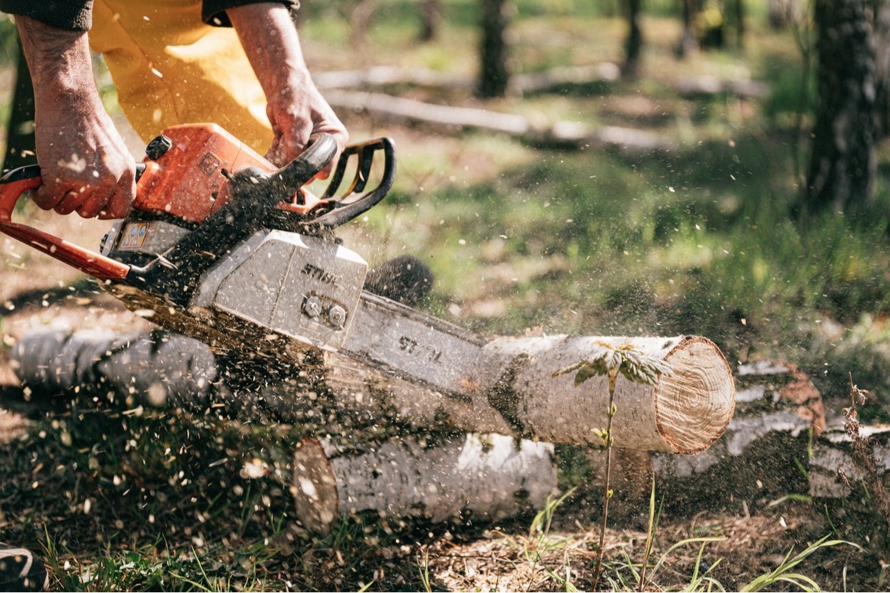 
Common Equipment Used by a Denver Tree Service Company