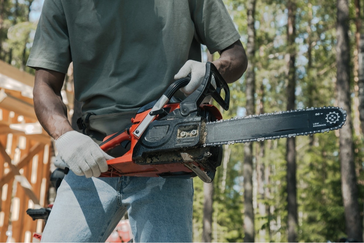 
Your Trees Will Benefit From Routine Tree Trimming Services